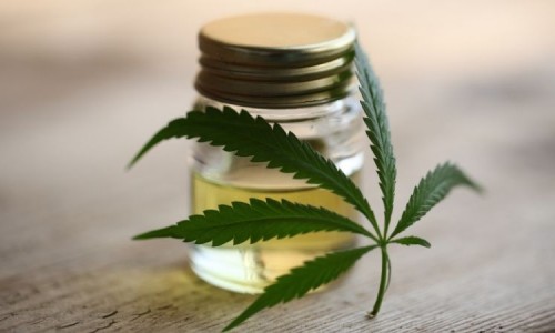 Какви са предимствата на CBD и CBD маслото?