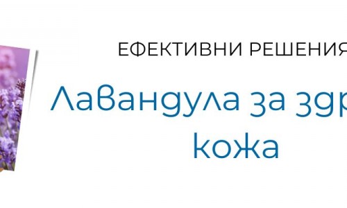 Лавандула за здрава кожа 