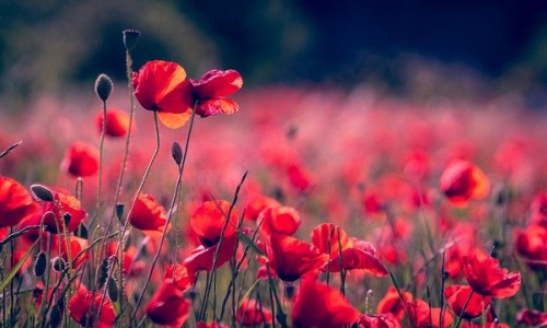 Рутинна грижа за кожа с розацея