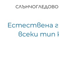 Слънчогледово масло в козметиката — естествена грижа за всеки тип кожа