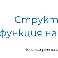 Структура и функция на кожата