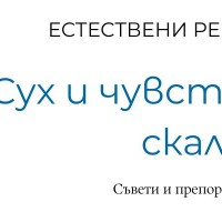 Сух и чувствителен скалп: естествени решения