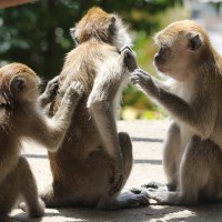 Защо кожата Ви сърби?