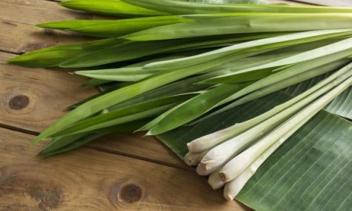 Лимонена трева